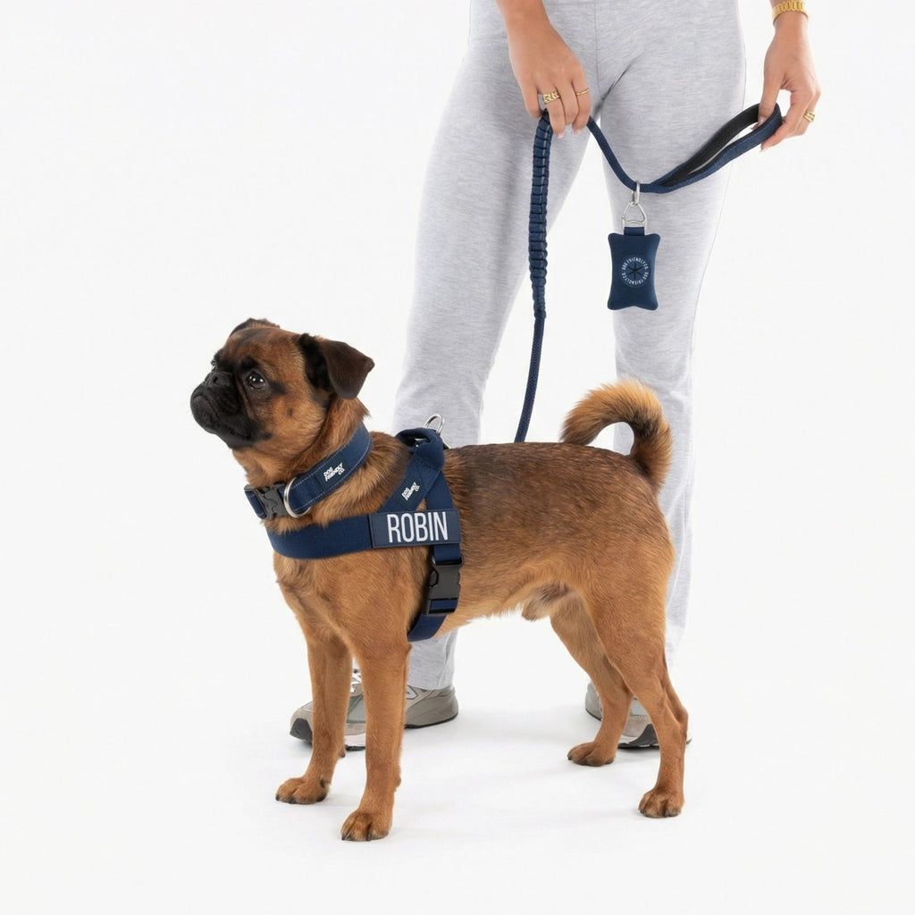Bungee Dog Leash product image 4