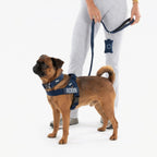 Bungee Dog Leash product image 4