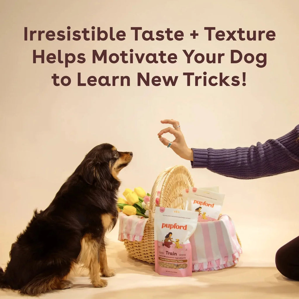 Dog Training Treats product image 4