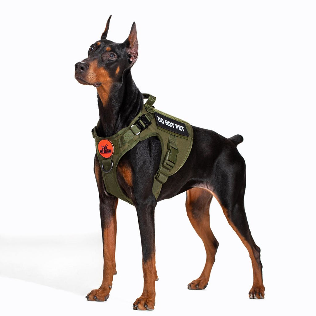 Tactical No-Pull Dog Harness product image 4