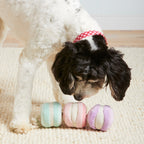 Macaron Snuffle Dog Toy product image 4
