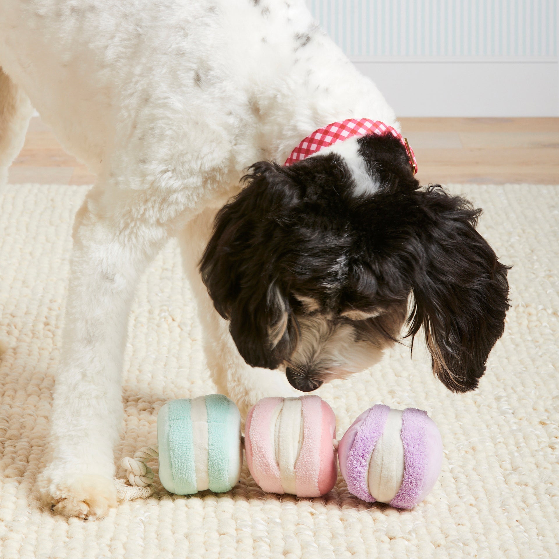 Macaron Snuffle Dog Toy product image 4