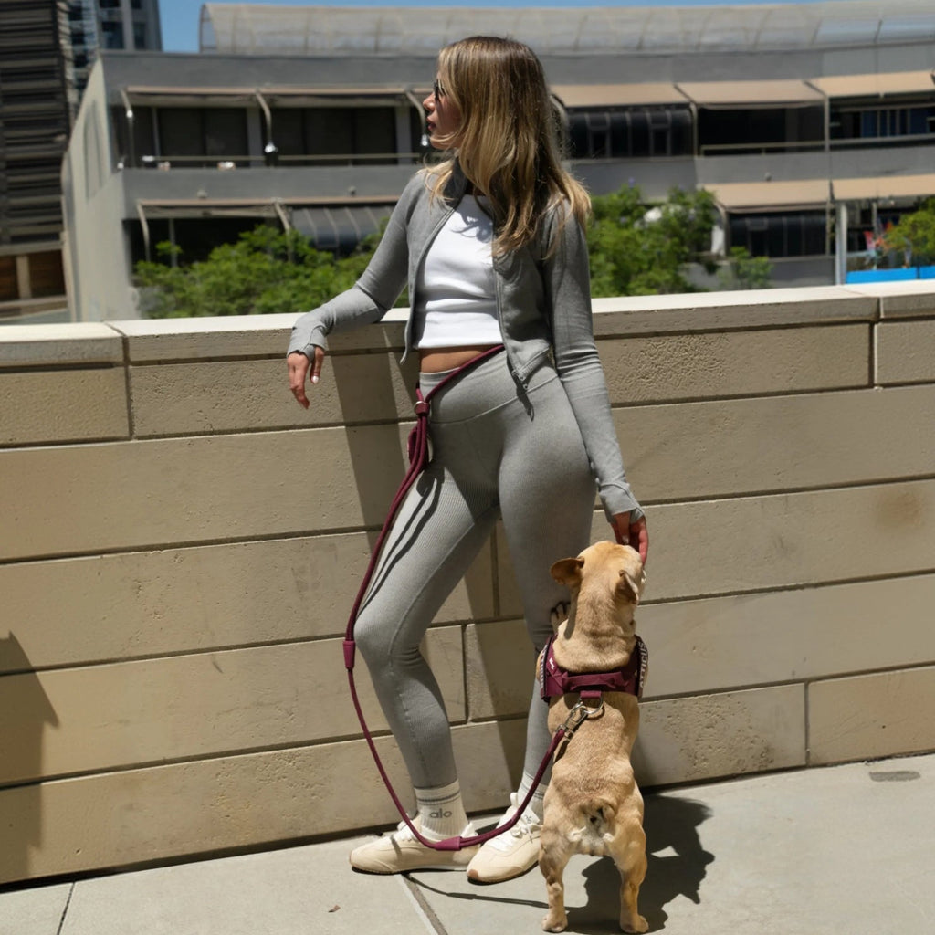 Hands-Free Dog Leash product image 4