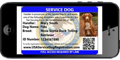 Service Dog Vest product image 4