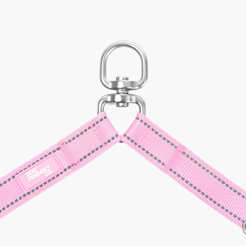 Double Dog Leash product image 4