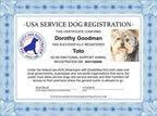 Emotional Support Dog Vest product image 4