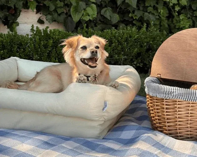 Orthopedic Dog Bed product image 4