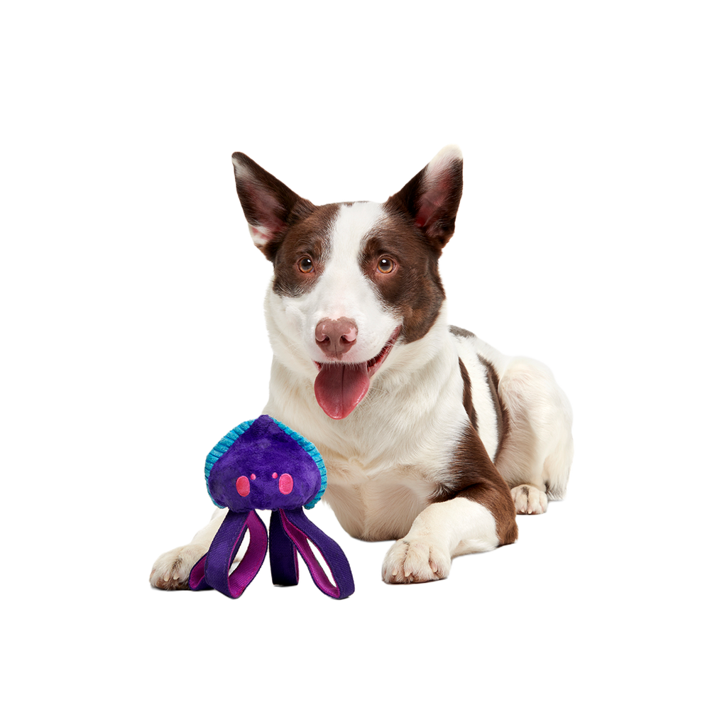 Two-Layer Tug Dog Toy product image 4