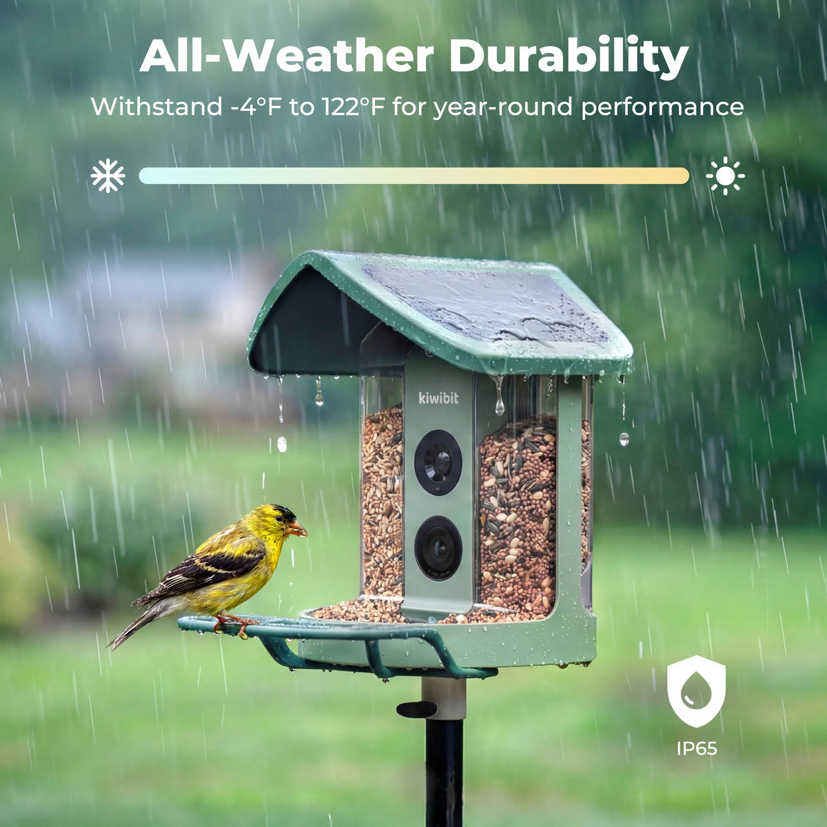 Smart Bird Feeder product image 4