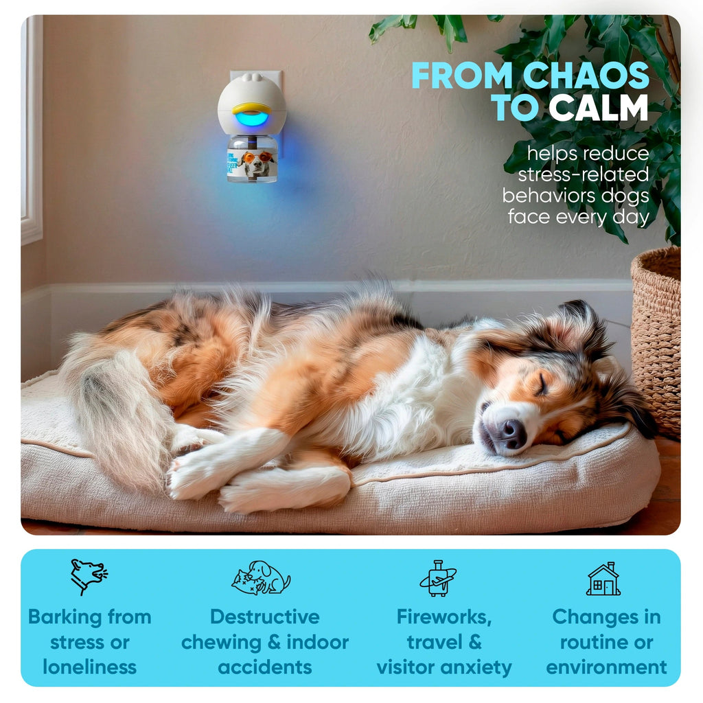 Dog Calming Diffuser product image 4