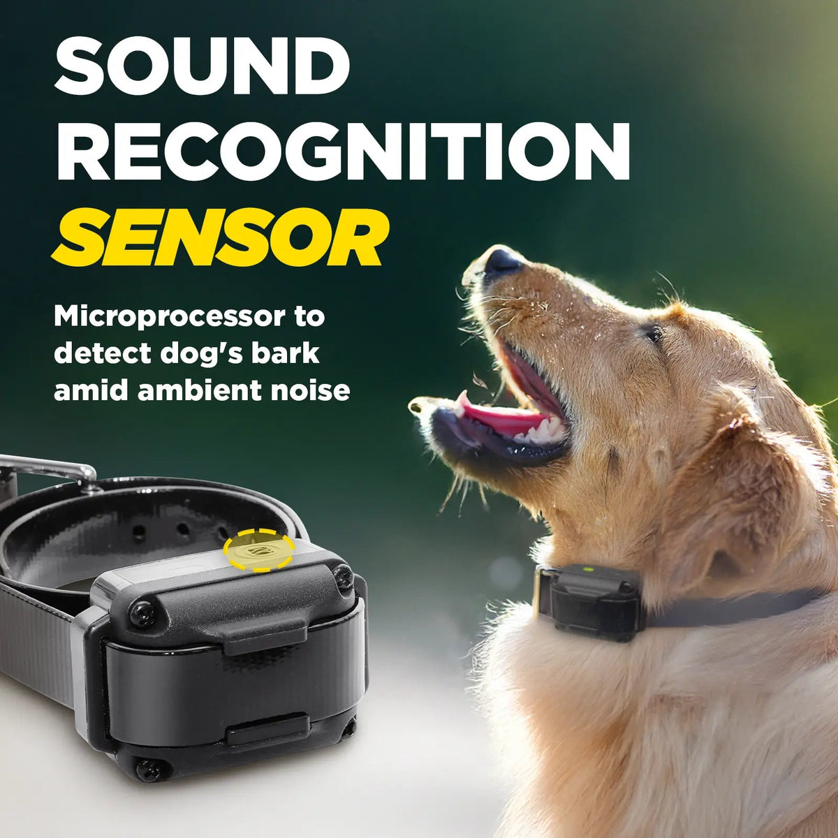 Vibration Bark Collar product image 4