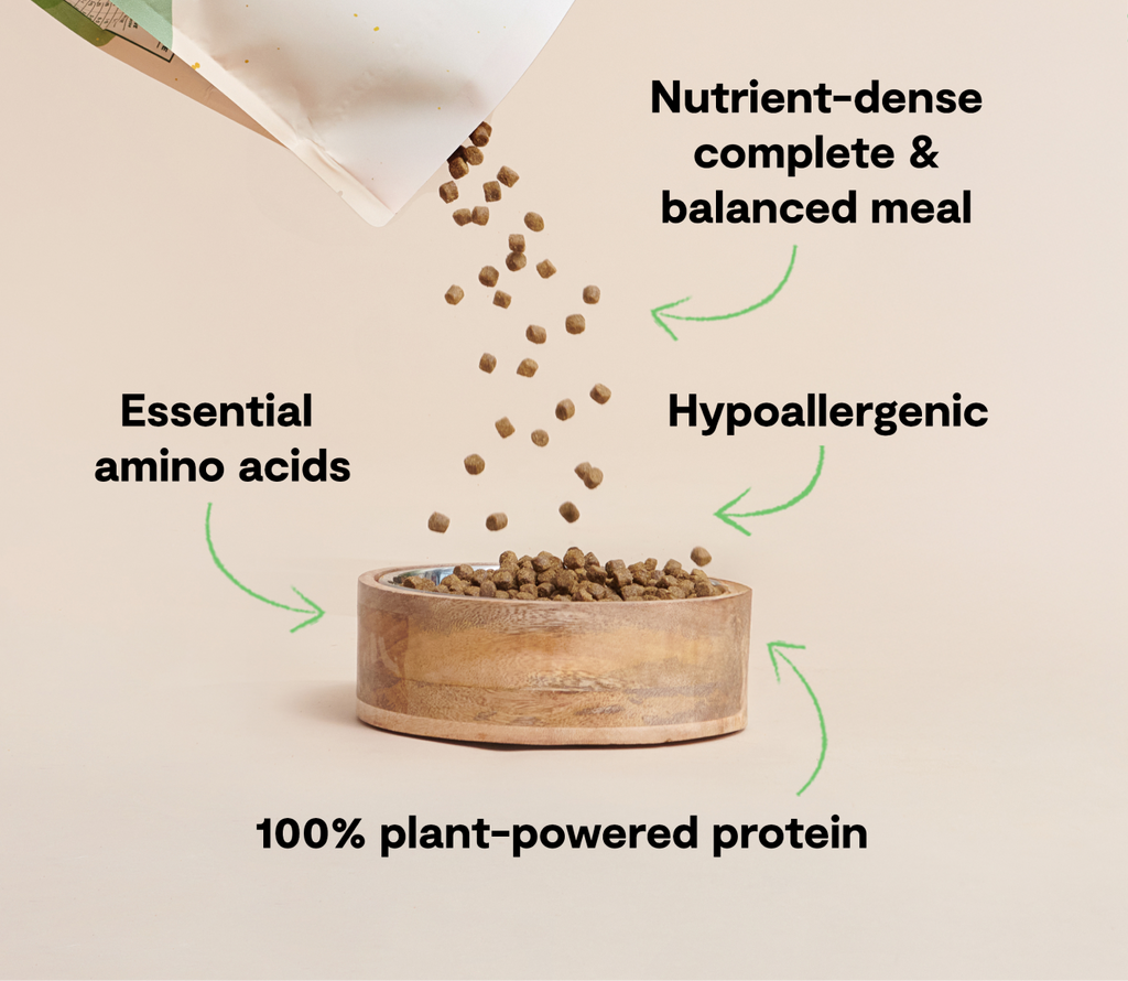 Plant-Based Dry Dog Food product image 4