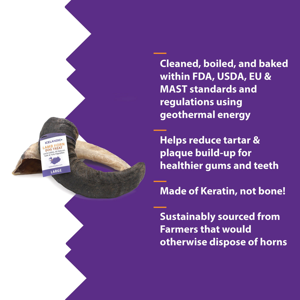Large Lamb Horn Dog Chew product image 4