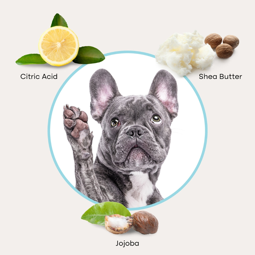 Pet Ear Cleaning Wipes product image 4
