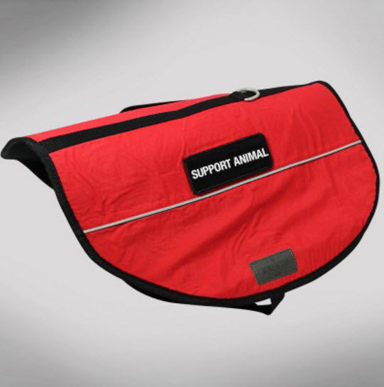 Emotional Support Dog Package product image 4