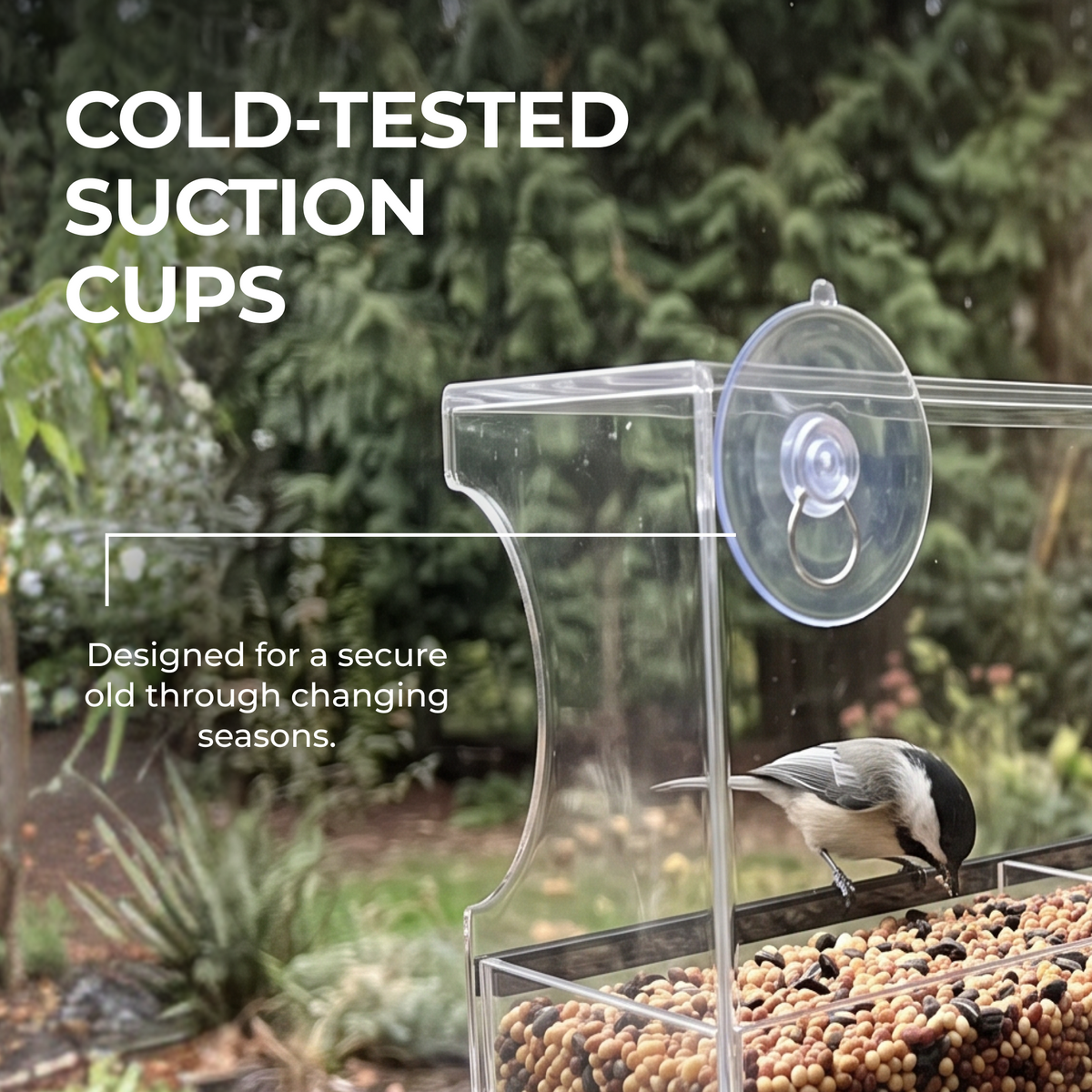 Window Bird Feeder product image 4