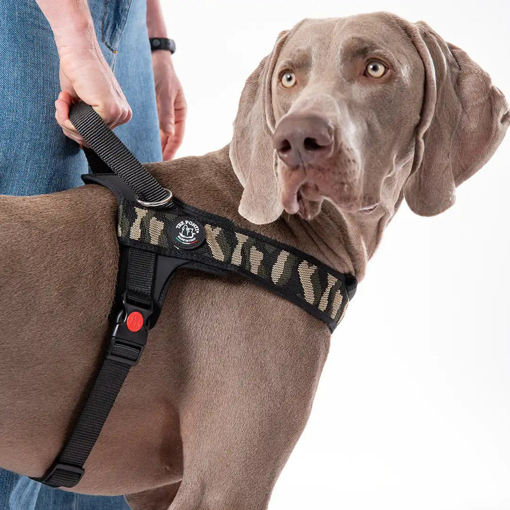Dog Harness product image 4