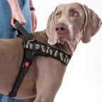 Dog Harness product image 4