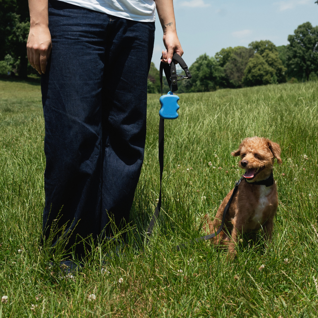 Dog Treat Dispenser product image 4