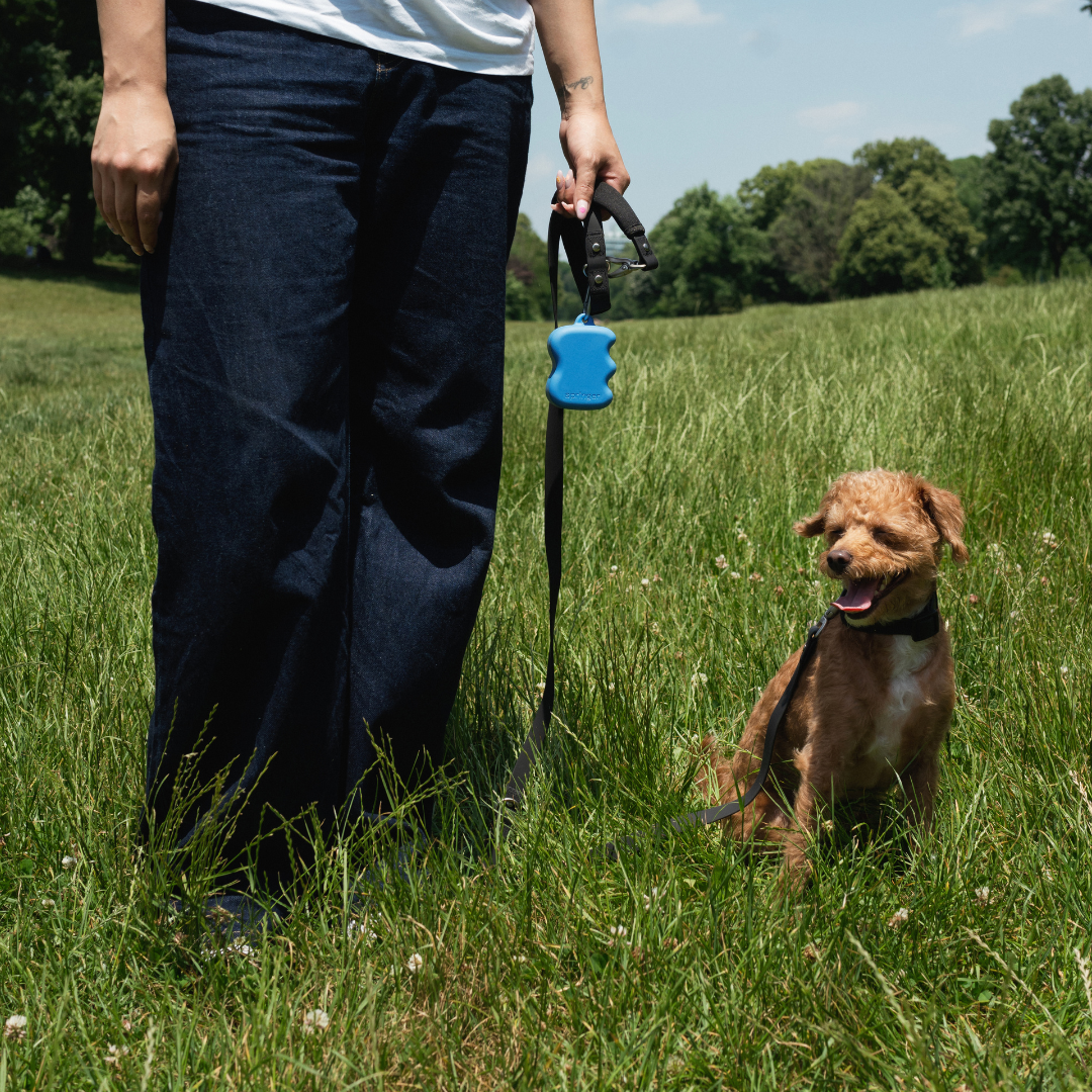 Dog Treat Dispenser product image 4