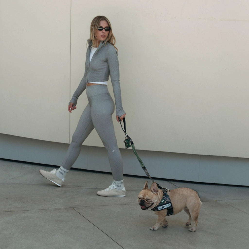 Bungee Dog Leash product image 4
