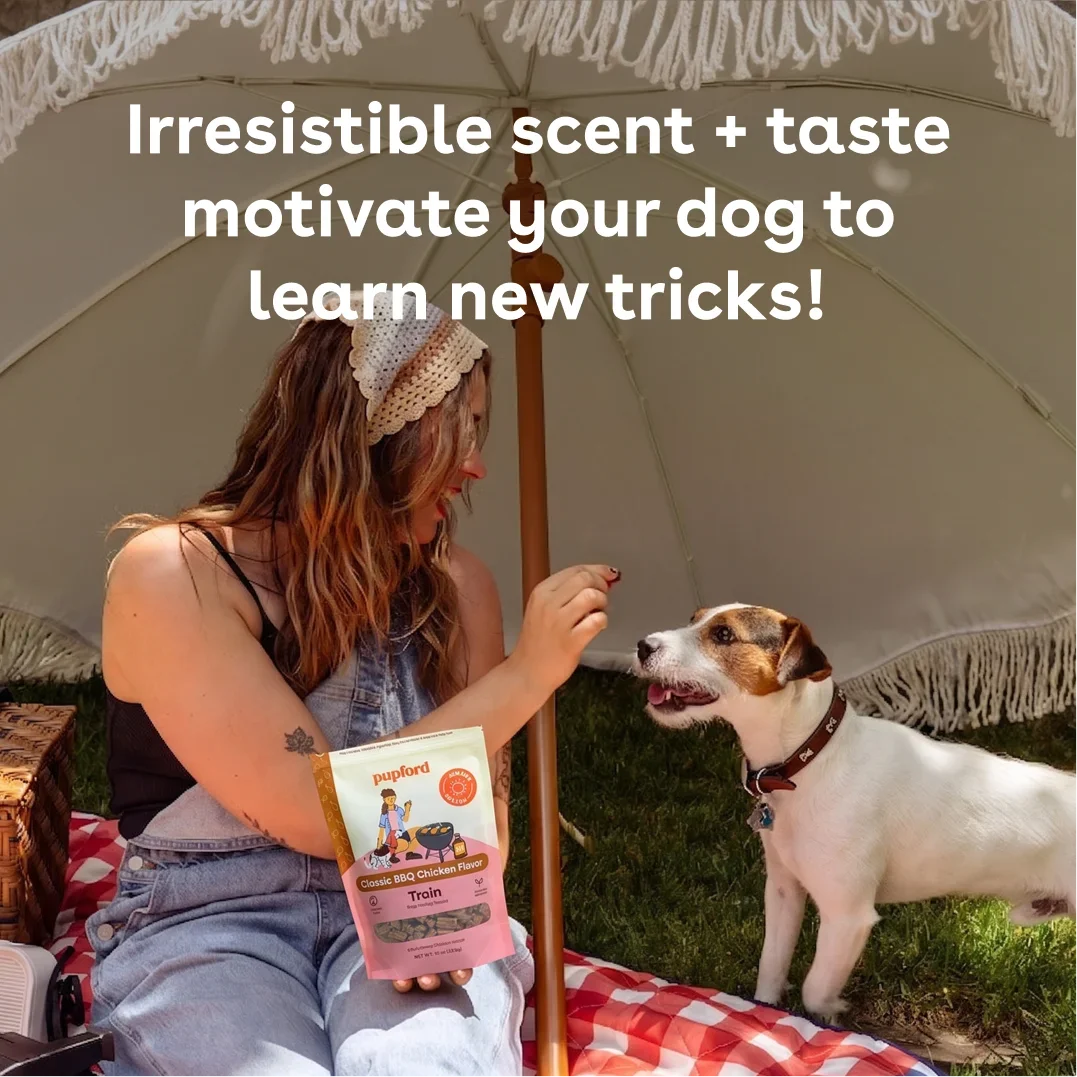 Dog Training Treats product image 4