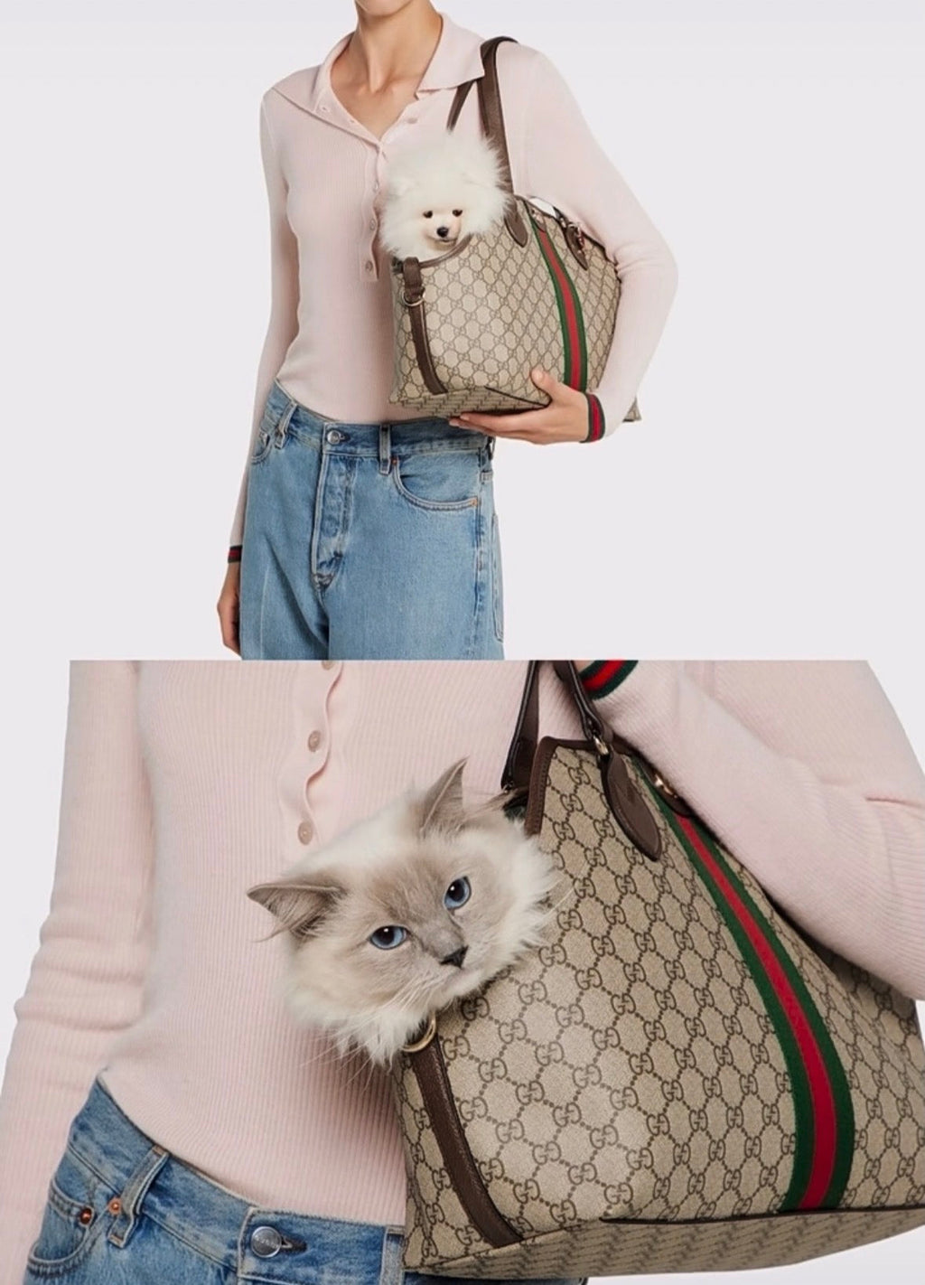 Small Dog Carrier Bag product image 4