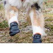 Dog Boots product image 4