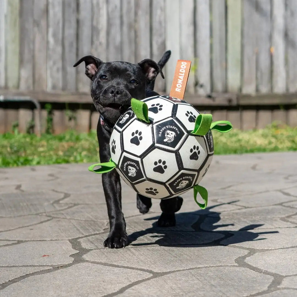 Soccer Ball Dog Toy with Tug Handles product image 4