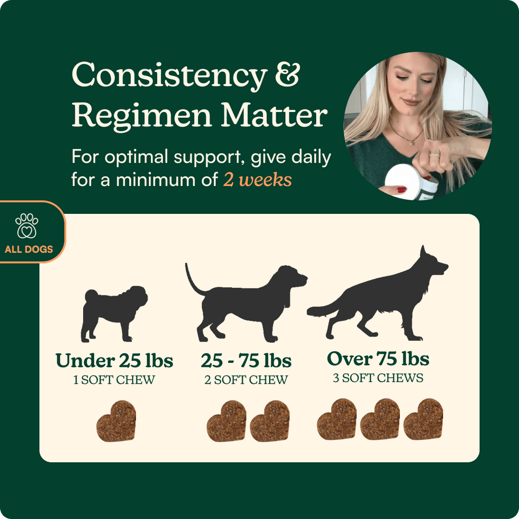 Dog Calming Supplement Chews product image 4