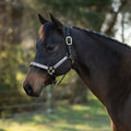 Nylon Horse Halter product image 4