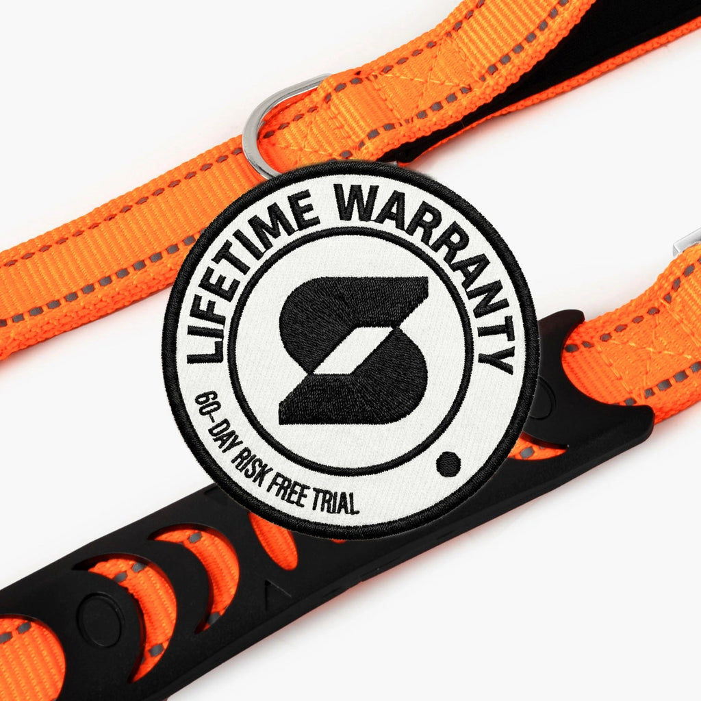 Dog Leash product image 4