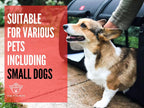 Portable Double Kennel product image 4