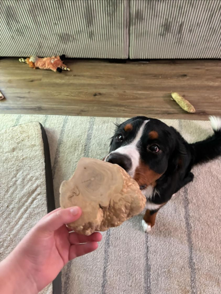 Dog Chew Toy product image 4