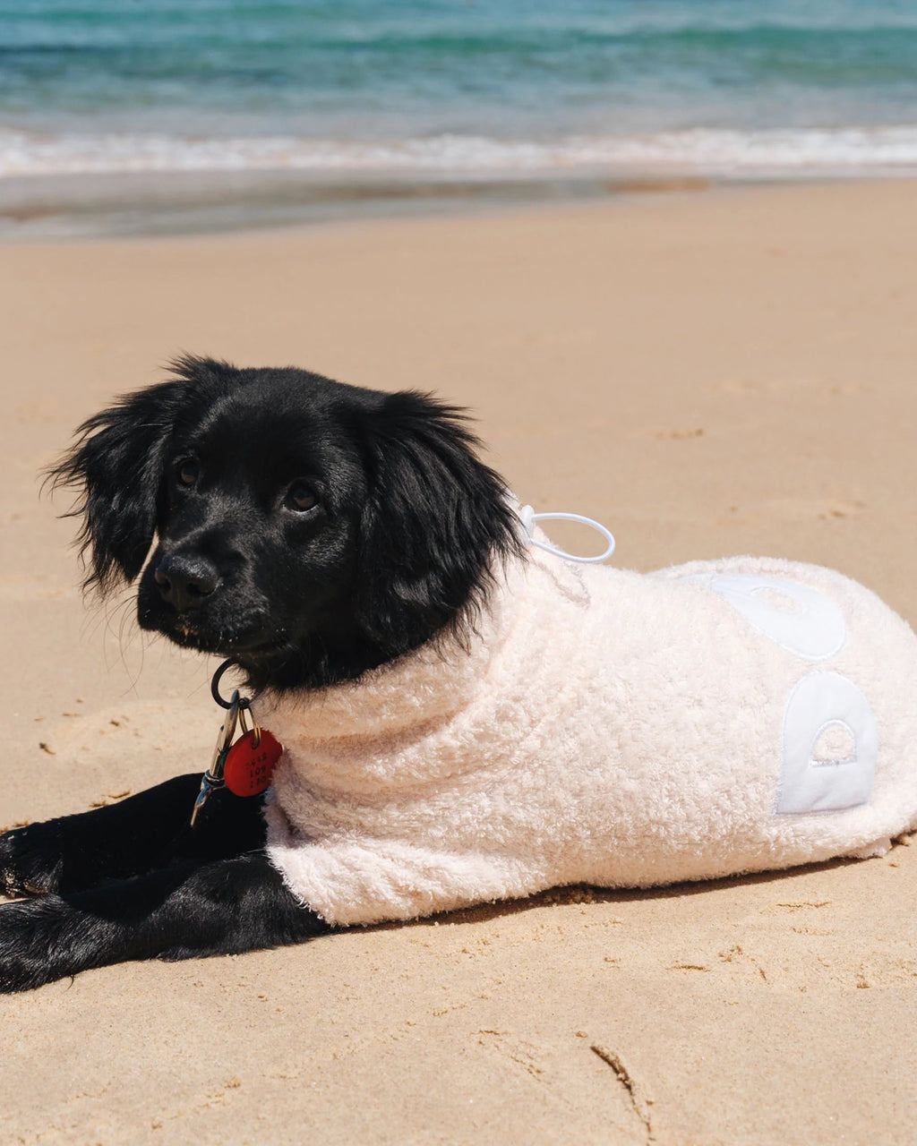 Dog Drying Poncho product image 4