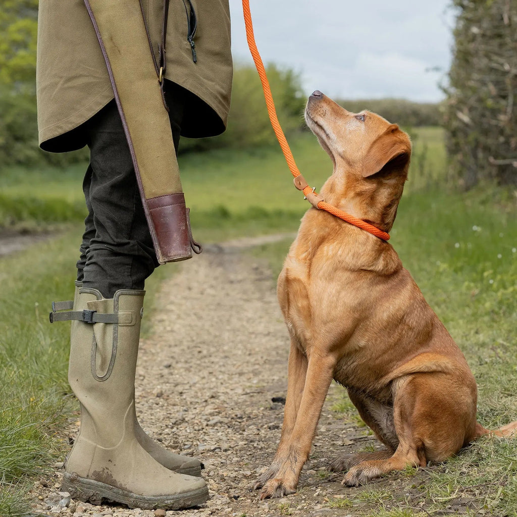 Dog Leads product image 4