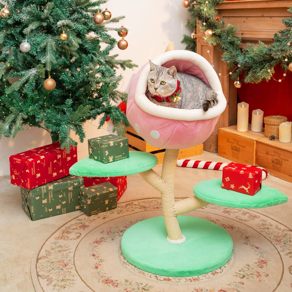 Cat Trees & Scratchers product image 4