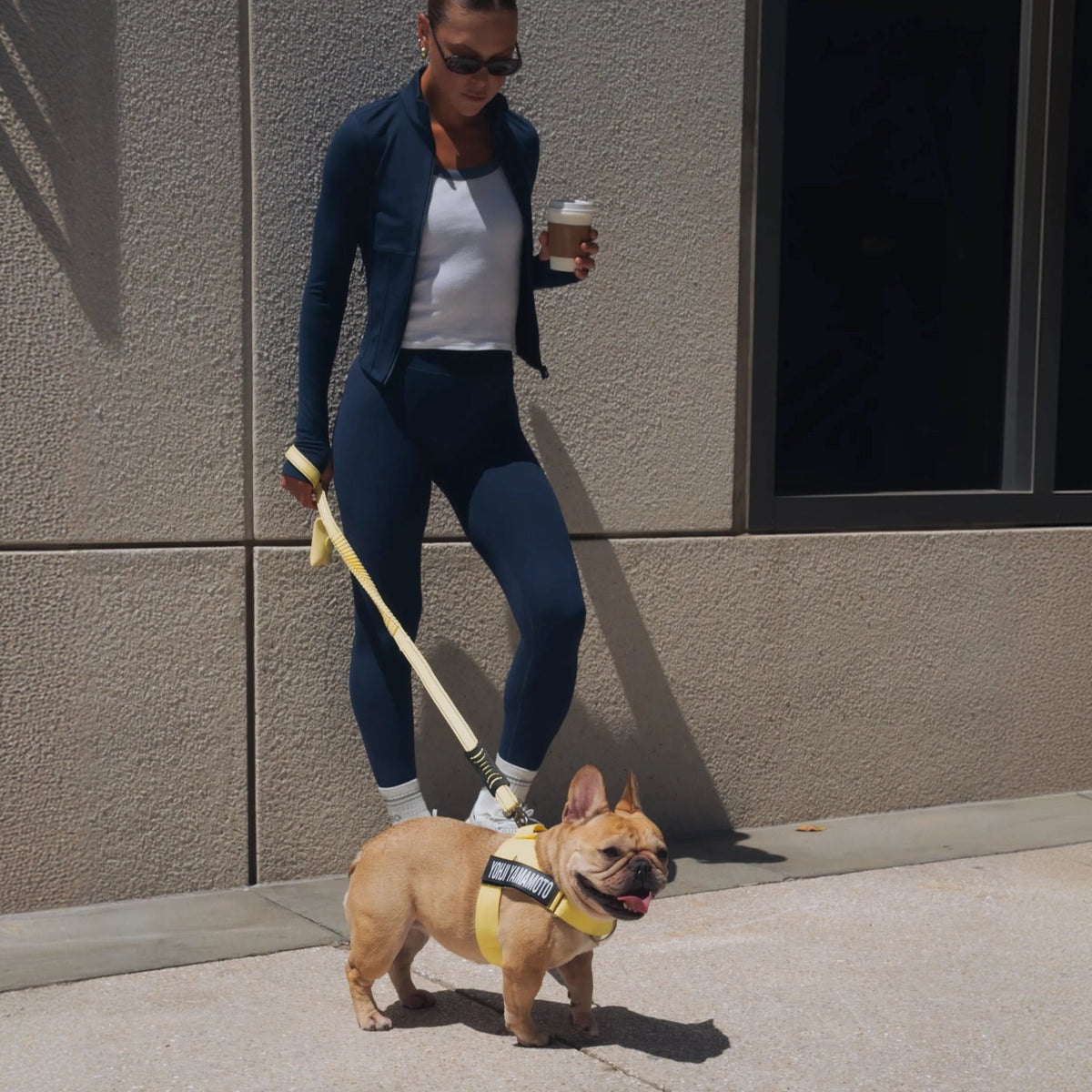 Bungee Dog Leash product image 4