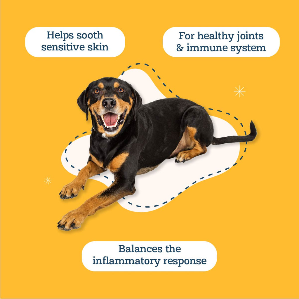 Skin and Coat Supplement product image 4