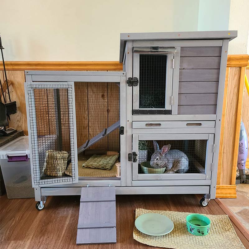 Rabbit Hutch and Playpen product image 4