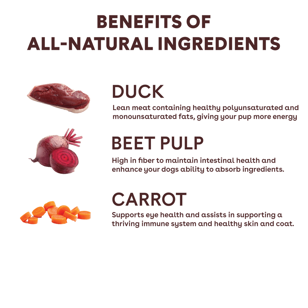 Freeze-Dried Duck and Vegetable Dog Training Treats product image 4