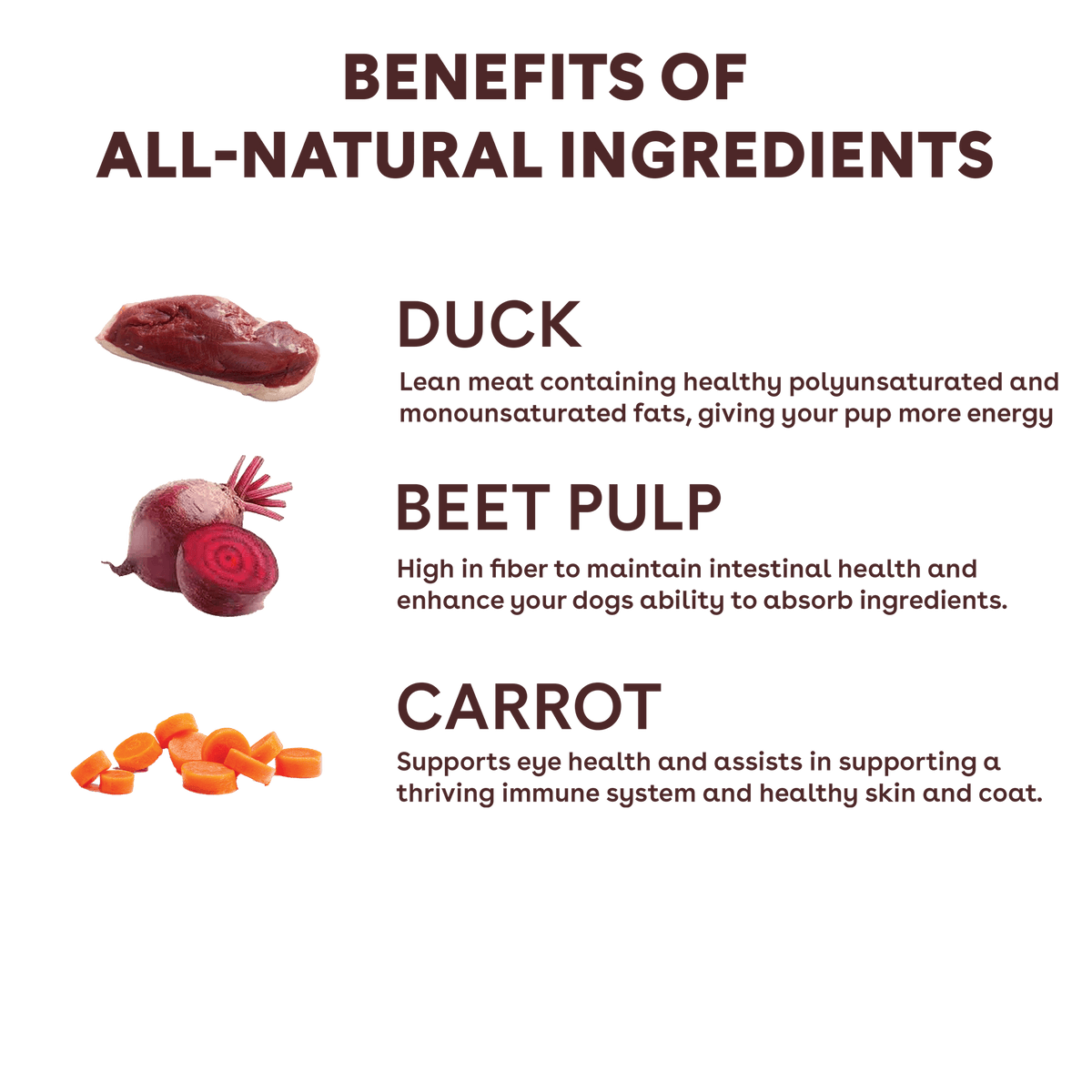 Freeze-Dried Duck and Vegetable Dog Training Treats product image 4
