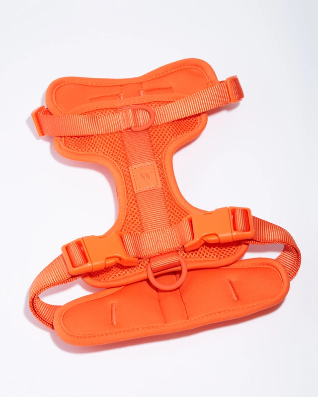 Dog Harness product image 4