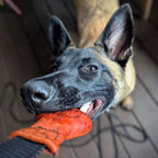 Dog Tug Toy product image 4