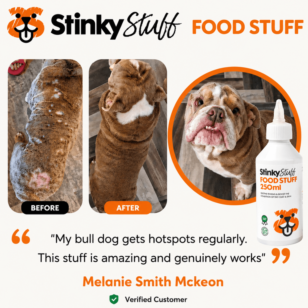 Dog Skin Care Bundle product image 4