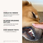 Dog Dental Gel product image 4