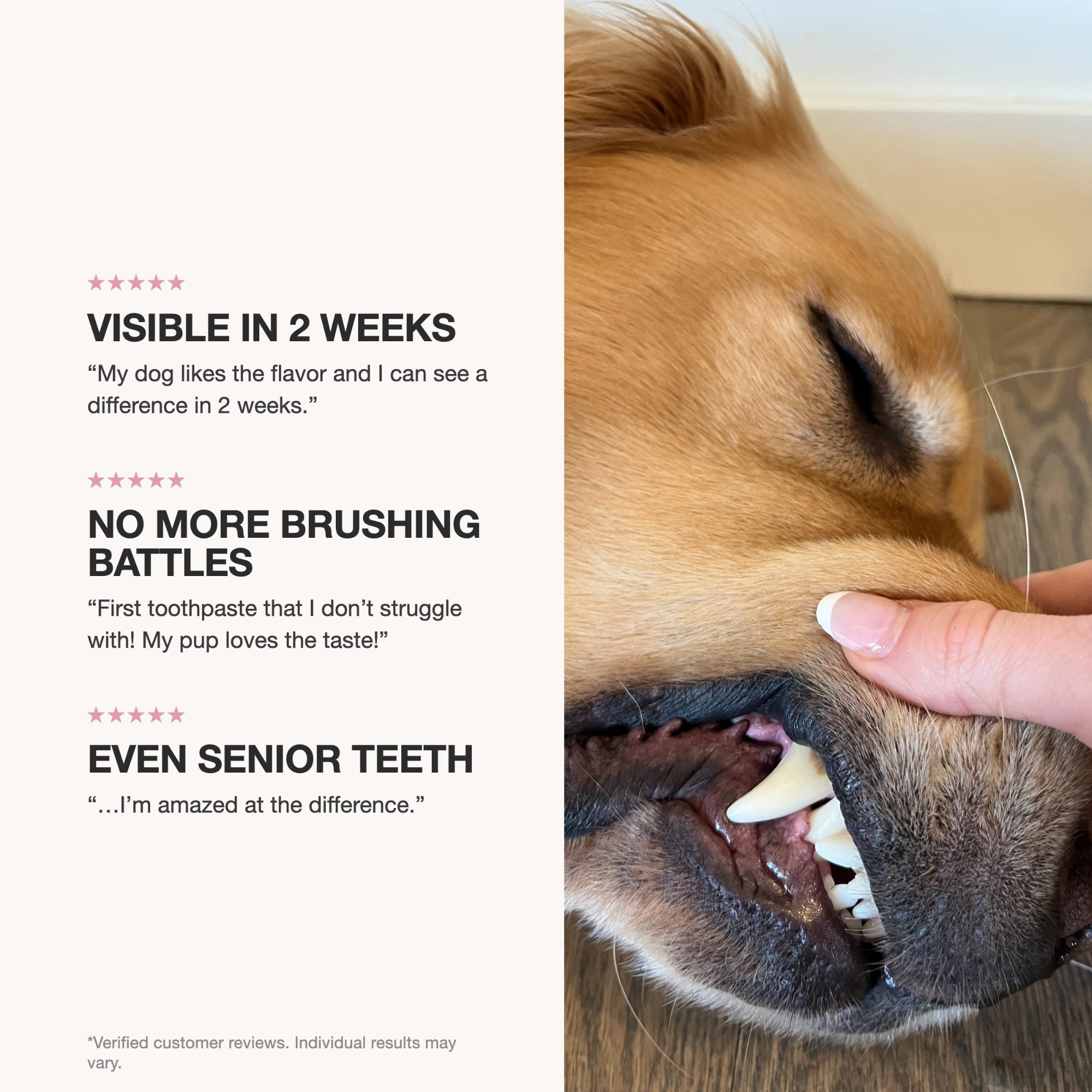 Dog Dental Gel product image 4