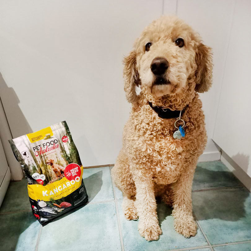 Kangaroo and Ocean Fish Dry Dog Food product image 4