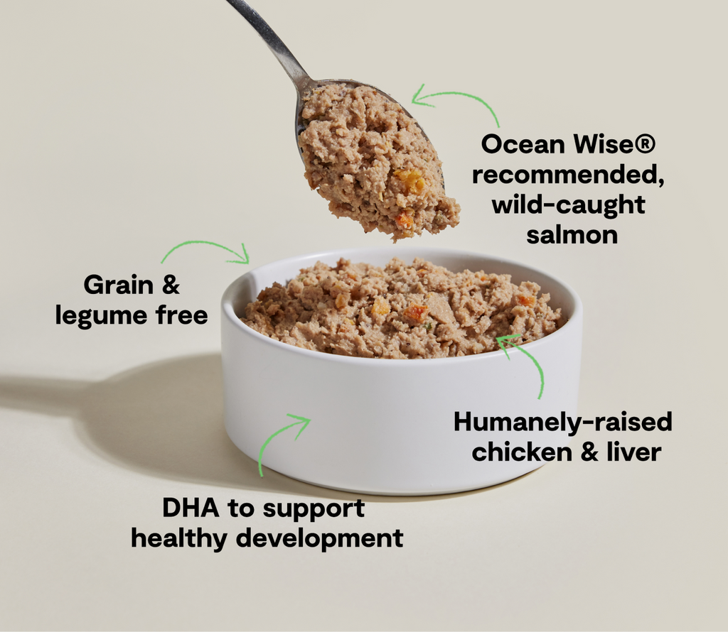 Puppy Pate Wet Dog Food product image 4
