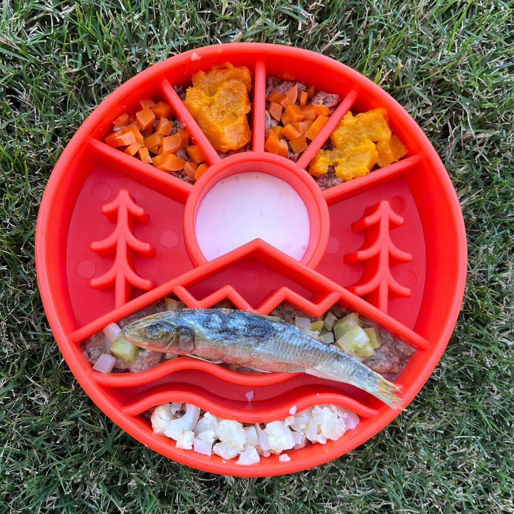 Slow Feeder Dog Bowl product image 4